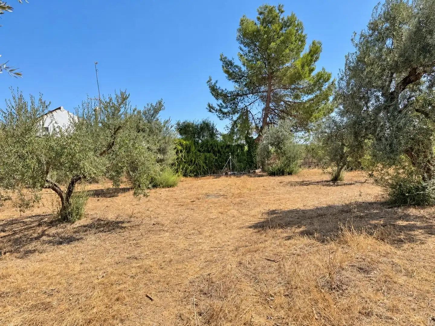 Villa avec piscine à vendre à Pedanías Norte, imagen 61