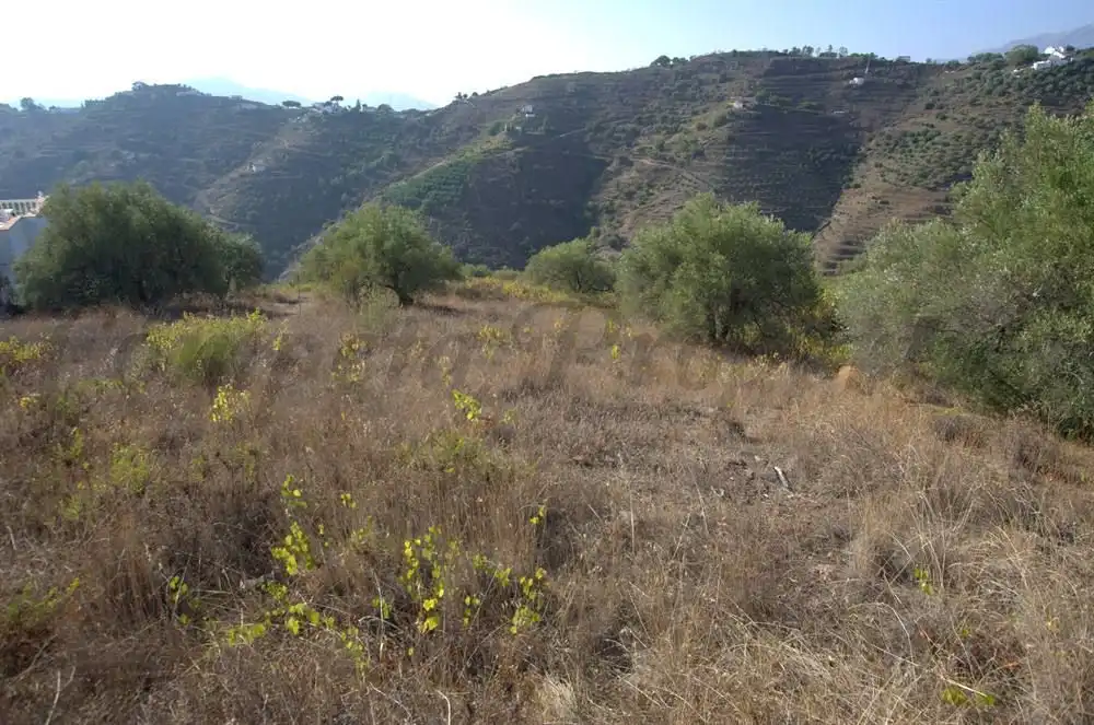 Terreno rustico in vendita a Árchez, imagen 4