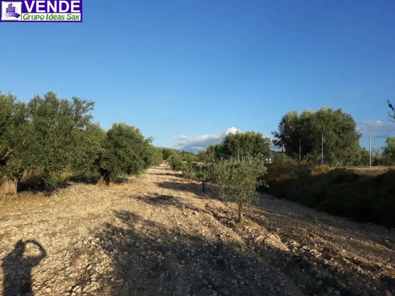 Rustikales Grundstück zum Verkauf in Poligono 17, imagen 4