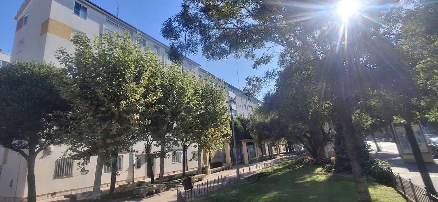 Vista exterior de Pis de lloguer en Valladolid Capital amb Calefacció, Parquet i Moblat
