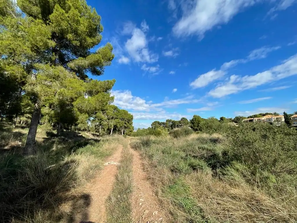 Terreny residencial en venda a Calle del Pino, imagen 7