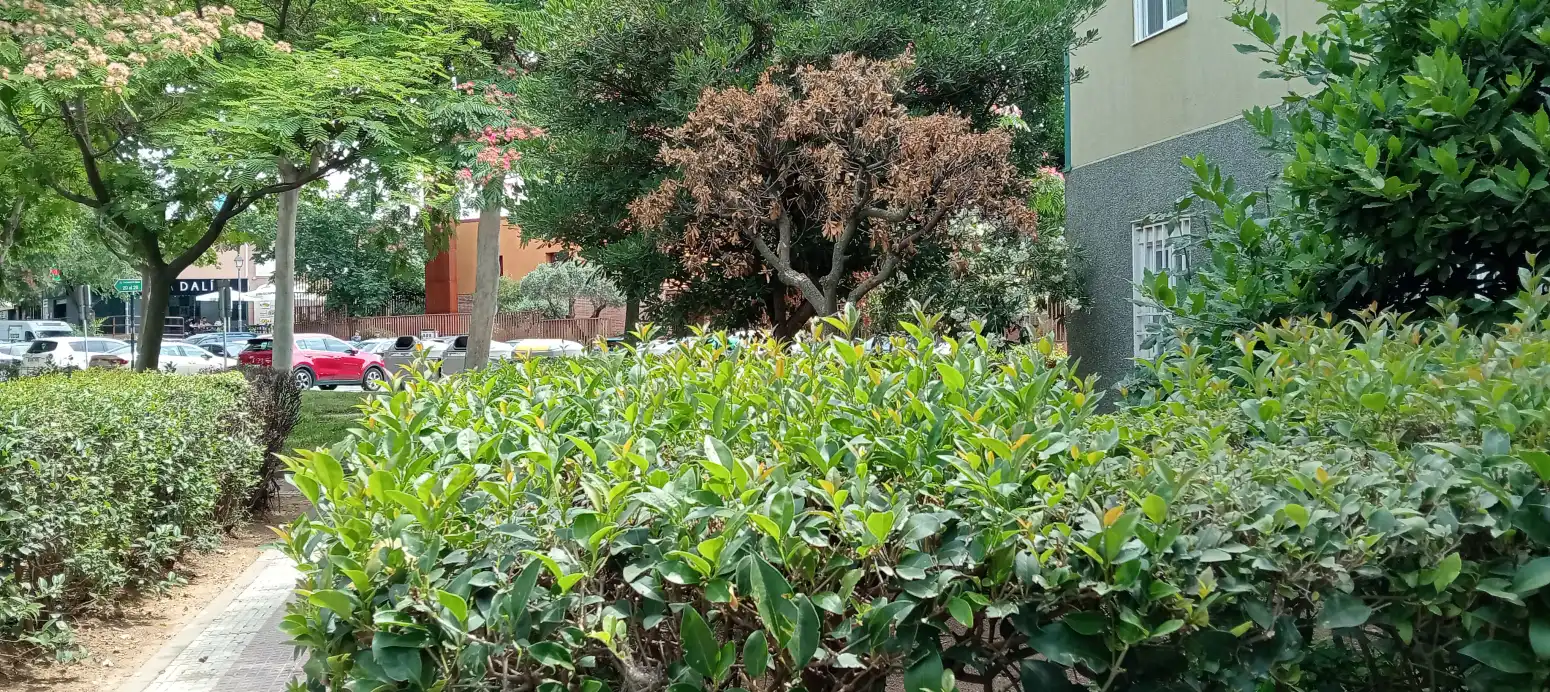 Jardín de Piso en venta en Mejorada del Campo con Calefacción y Amueblado