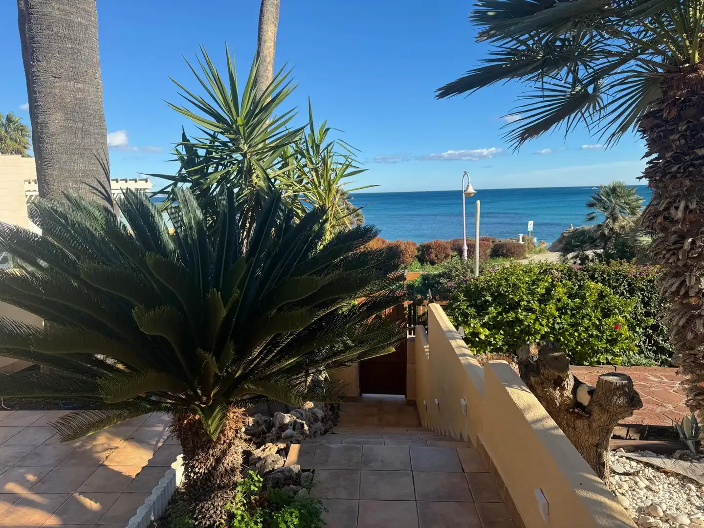 Jardí de Casa adosada en venda en El Campello amb Jardí privat i Terrassa