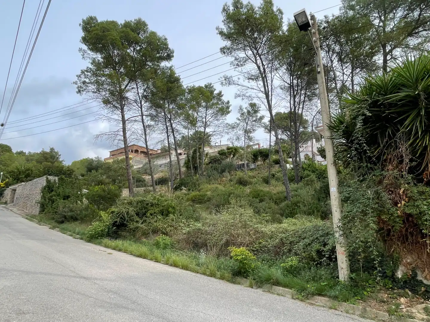 Terreny residencial en venda a Carrer de l'Alzina 25, imagen 17
