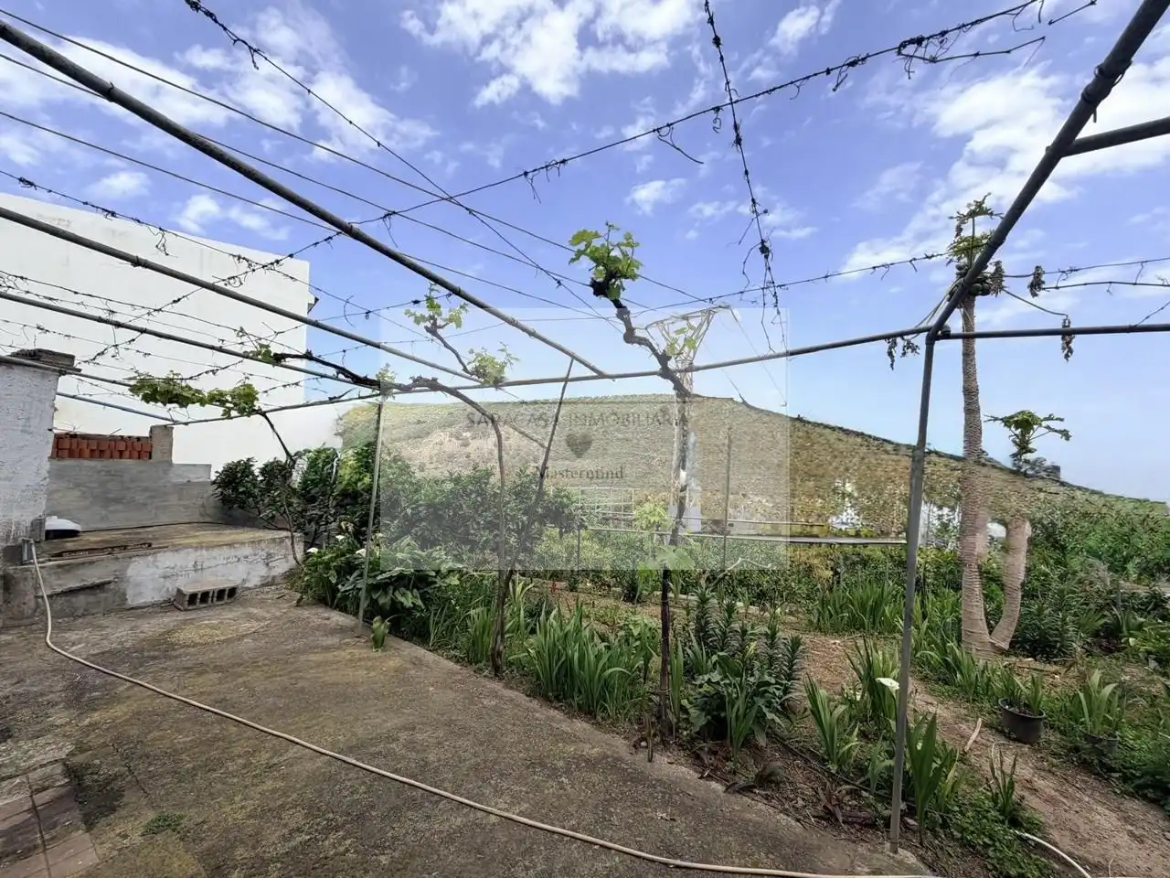 Garten von Haus oder Chalet zum Verkauf in Las Palmas de Gran Canaria mit Privatgarten und Terrasse