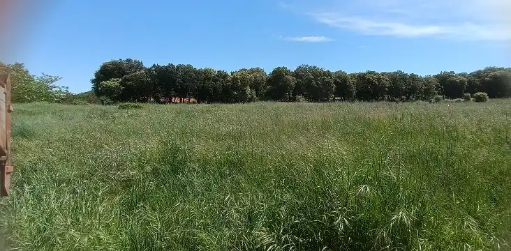 Residential land for sale in Calle Carretera 6, imagen 9