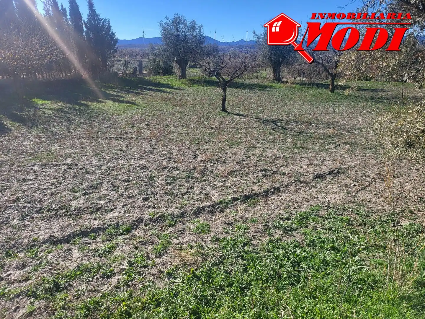 Lands and plots for sale in POLÍGONO 3 PARCELA 142 00, imagen 3