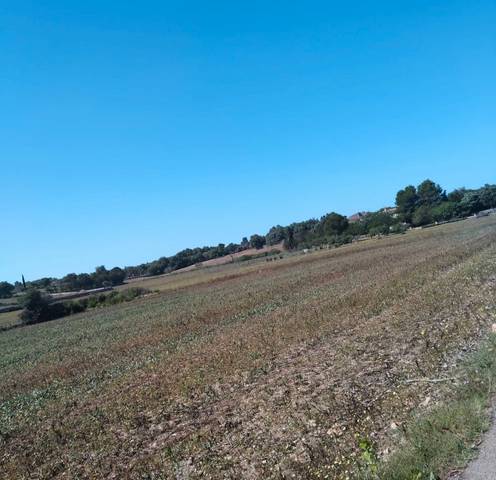 Terreno en Venta en Vial Camino, 234 en Manacor Centre