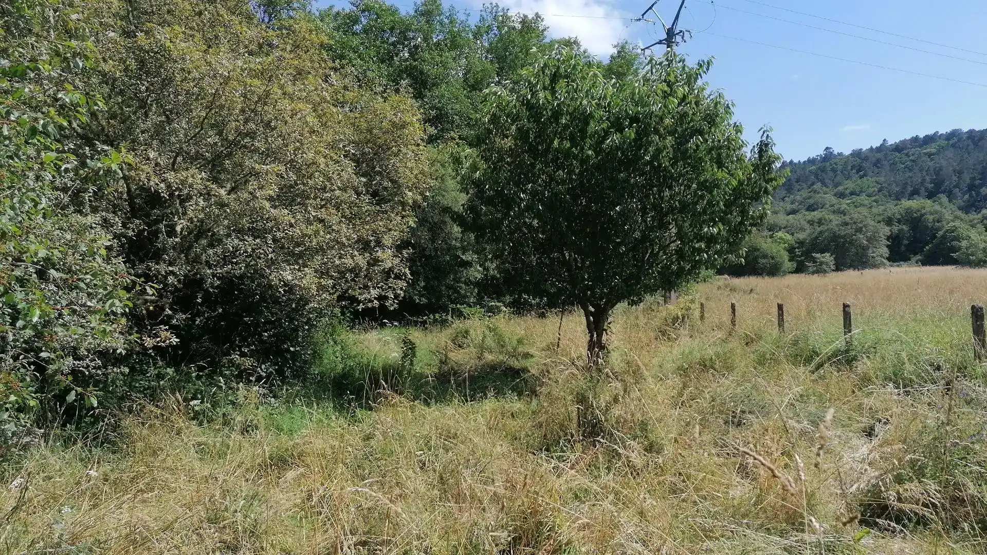 Casa o chalet en venta en Boborás