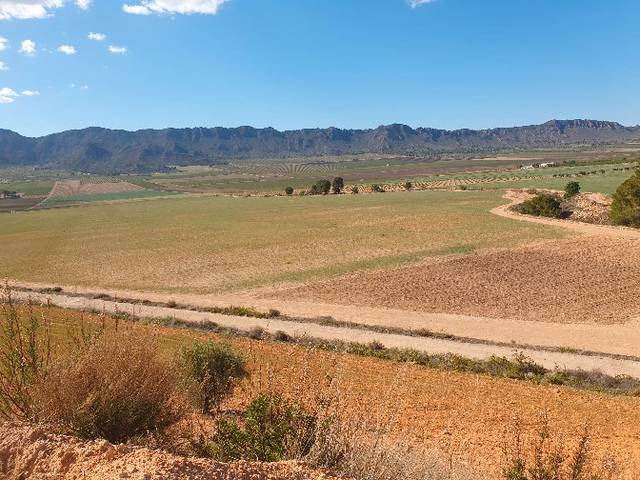 Terreno en Venta en Vial Camino, 5720 en Área Rural-Valverde-Las Casas