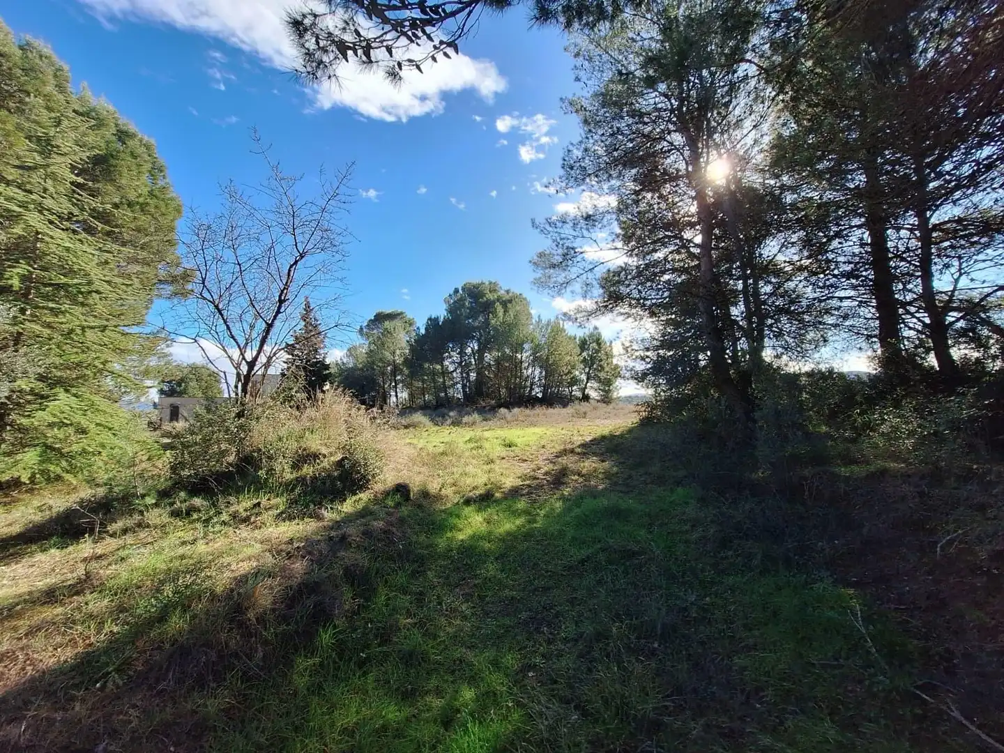 Terrenys i solars en venda a Sesoliveres - Pla de la Massa, imagen 3