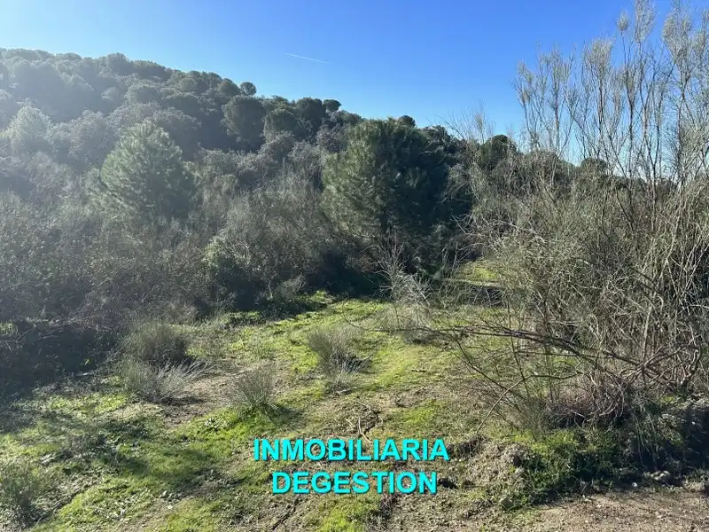 Terreni e lotti in vendita a Andújar, imagen 19