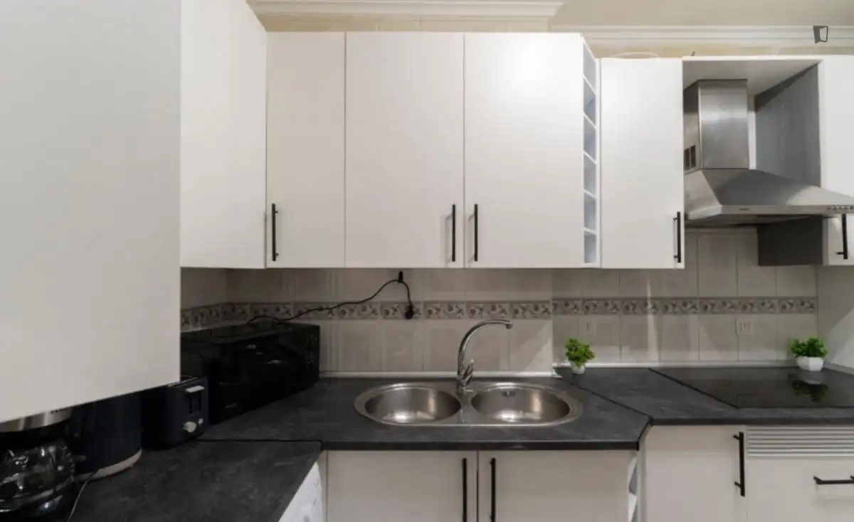 Kitchen of Apartments for share in Madrid  with Furnished, Oven and Washing machine
