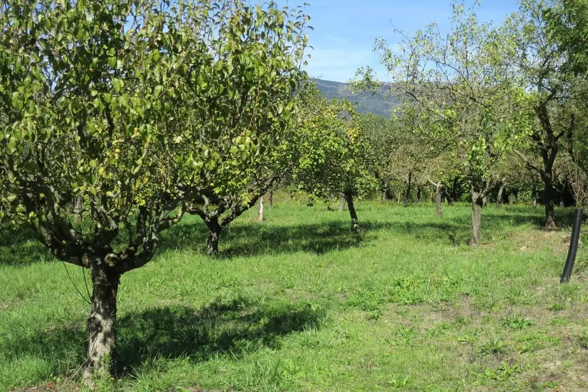 Garden of Houses for sale in Arakil  with Heating, Terrace and Storage room