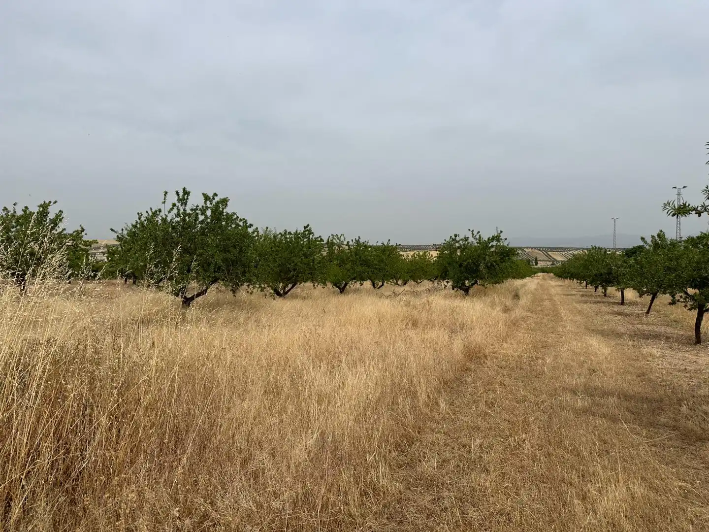 Grundstücke und Bauplätze zum Verkauf in Chimeneas, imagen 35