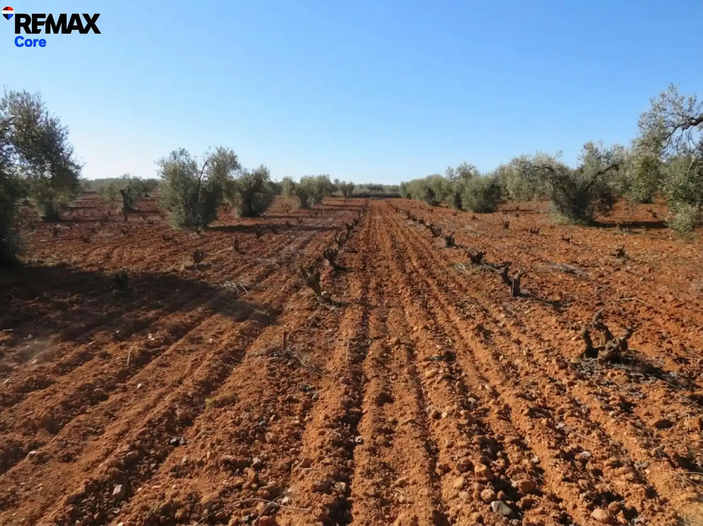 Grundstücke zum Verkauf in La Zarza (Badajoz)