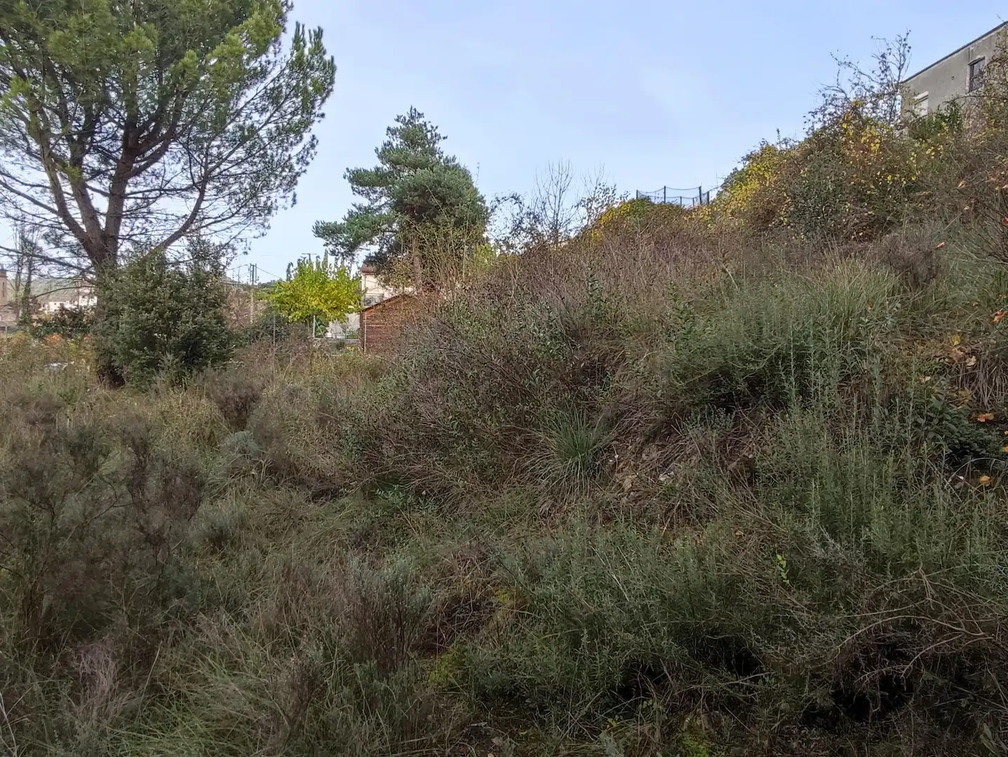 Terrain rustique à vendre à Monistrol de Calders, imagen 33