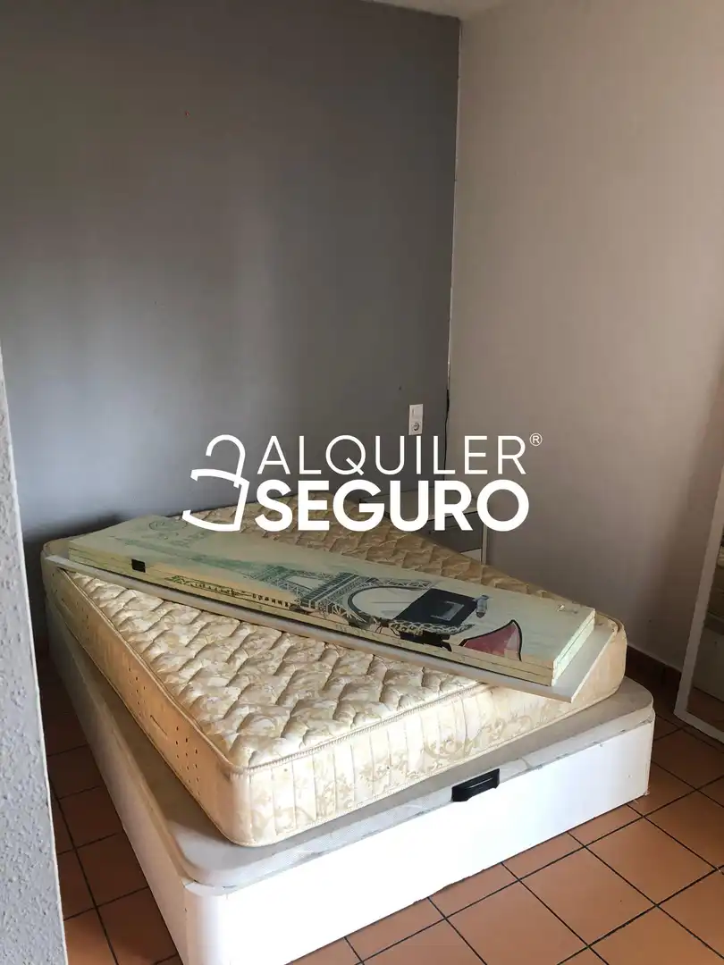 Appartamento con piscina in affitto a Fausto Cartagena, imagen 7