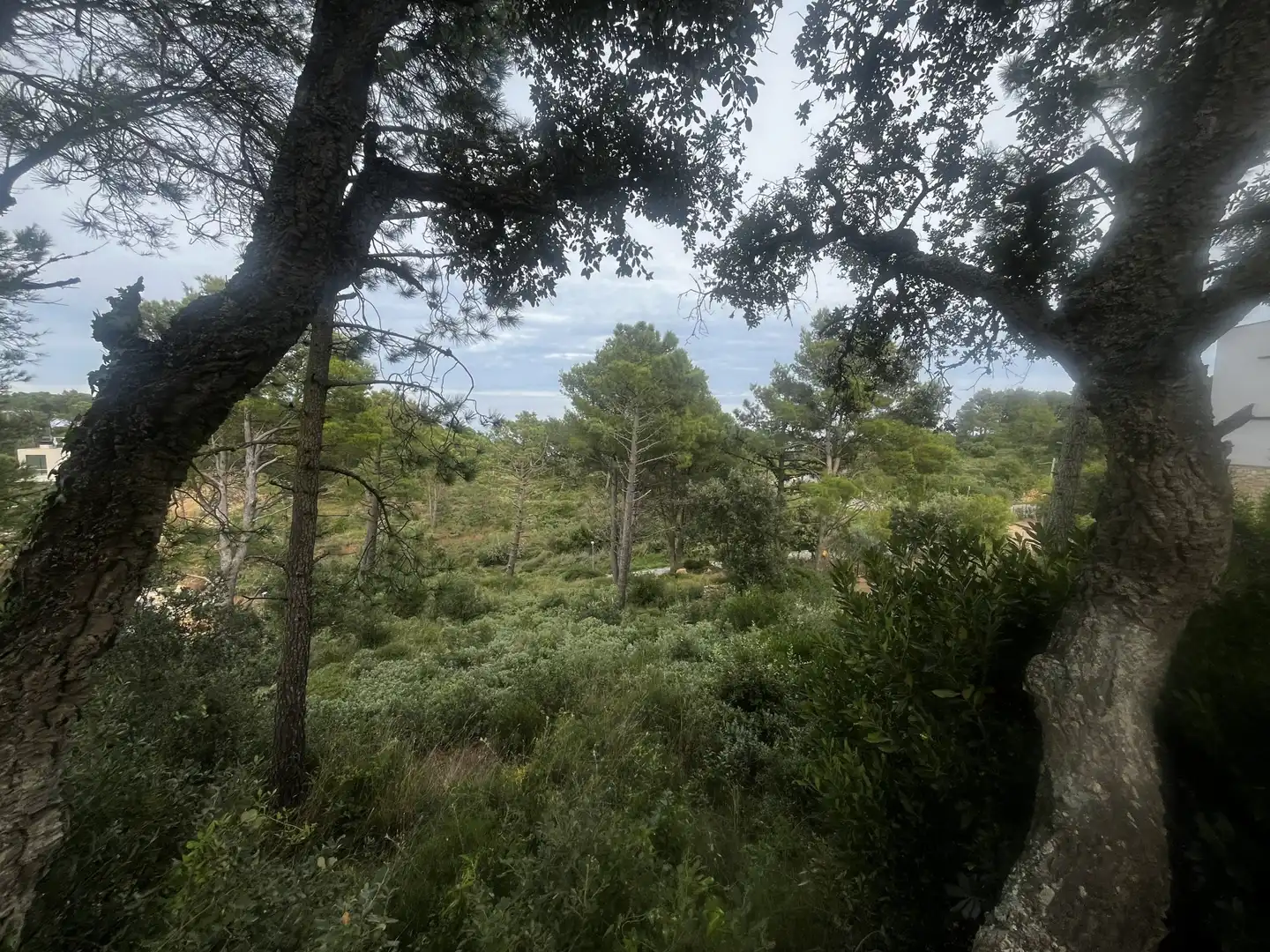 Terrenos y solares en venta en DE JOAQUIM PRATS I CARRERAS