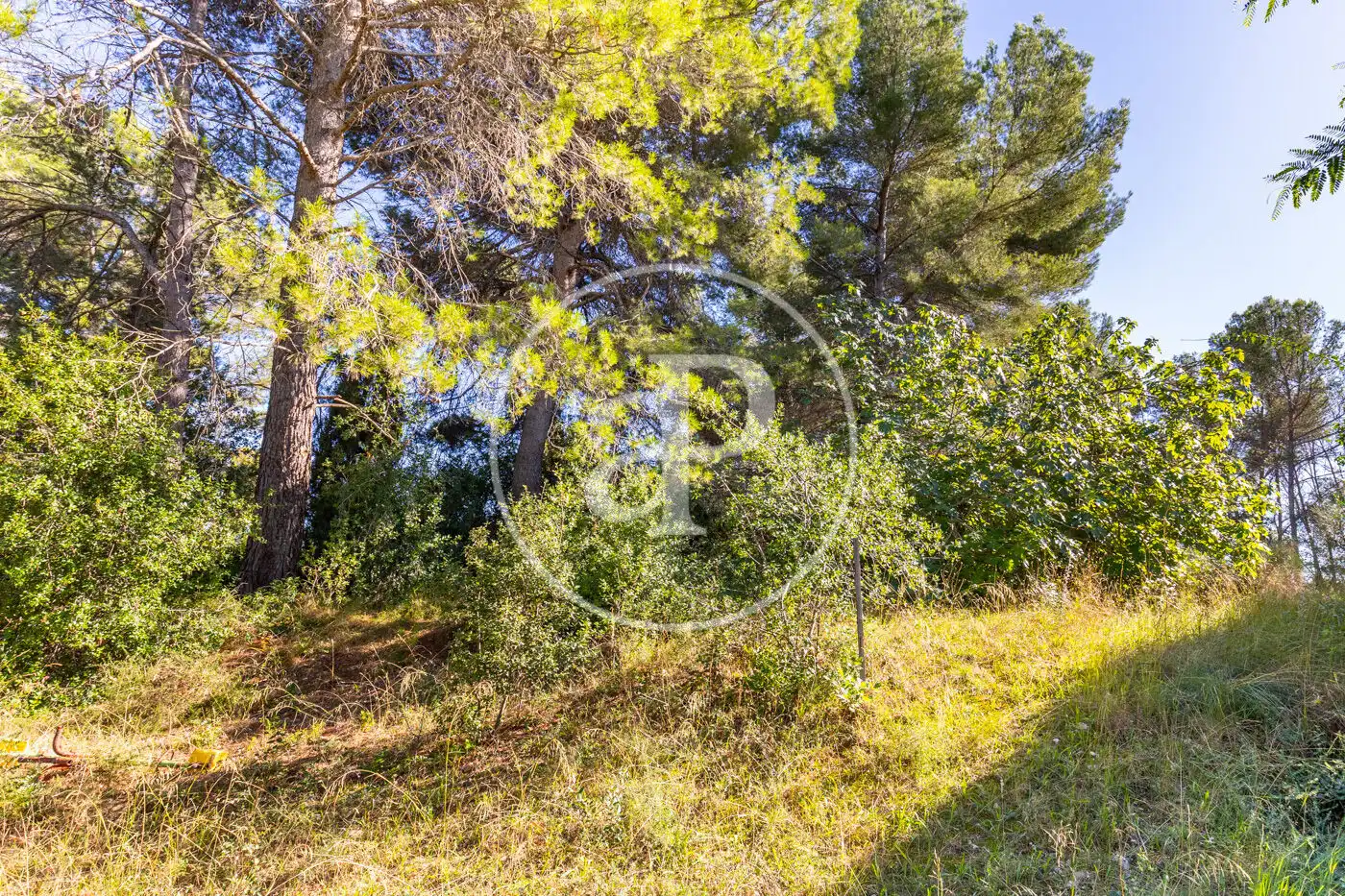 Terreno residenziale in vendita a Bellaterra, imagen 4