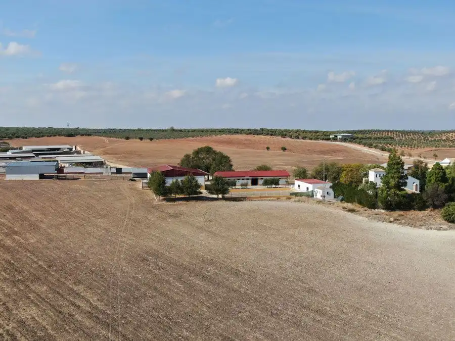 Country homes for sale in Marchena  with Terrace and Swimming Pool