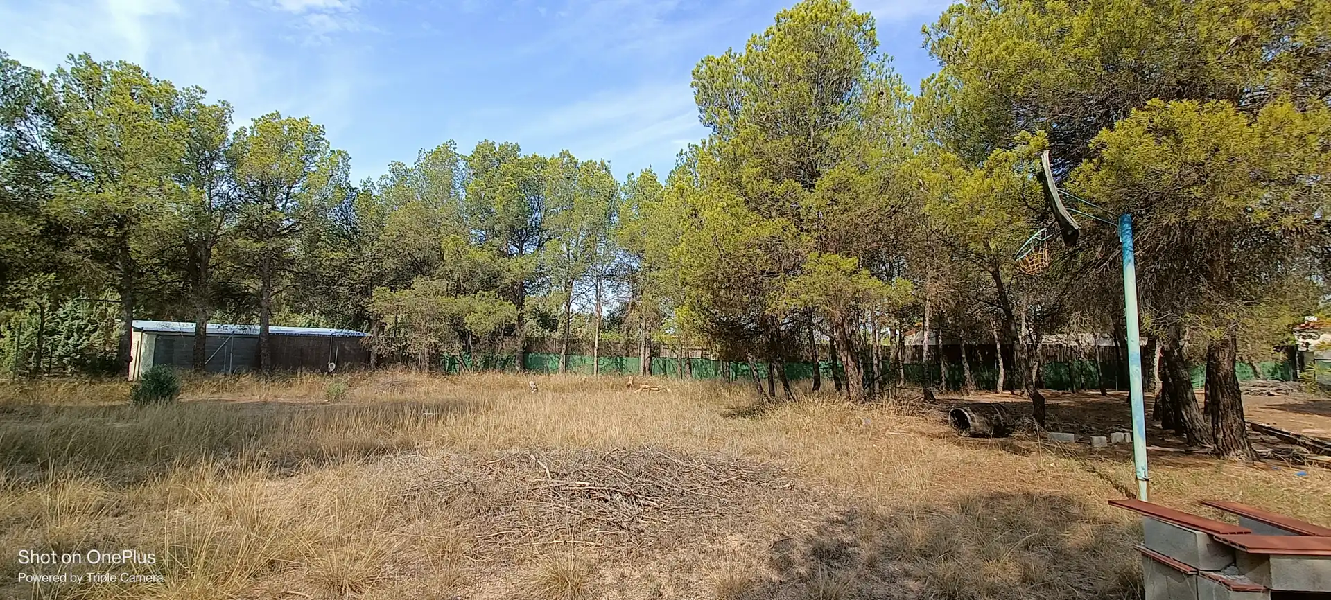Casa o xalet en venda a Calle Aniceto Coloma, Almansa