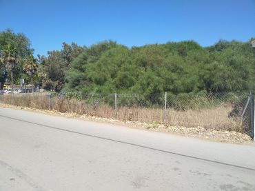 Terreno residenziale in vendita a Calle la Almadraba 10