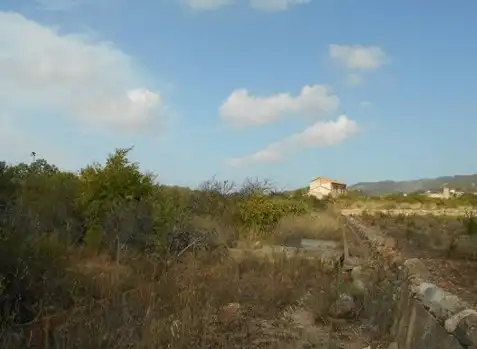 Rural land for sale in Pda Plá de La Font, imagen 7