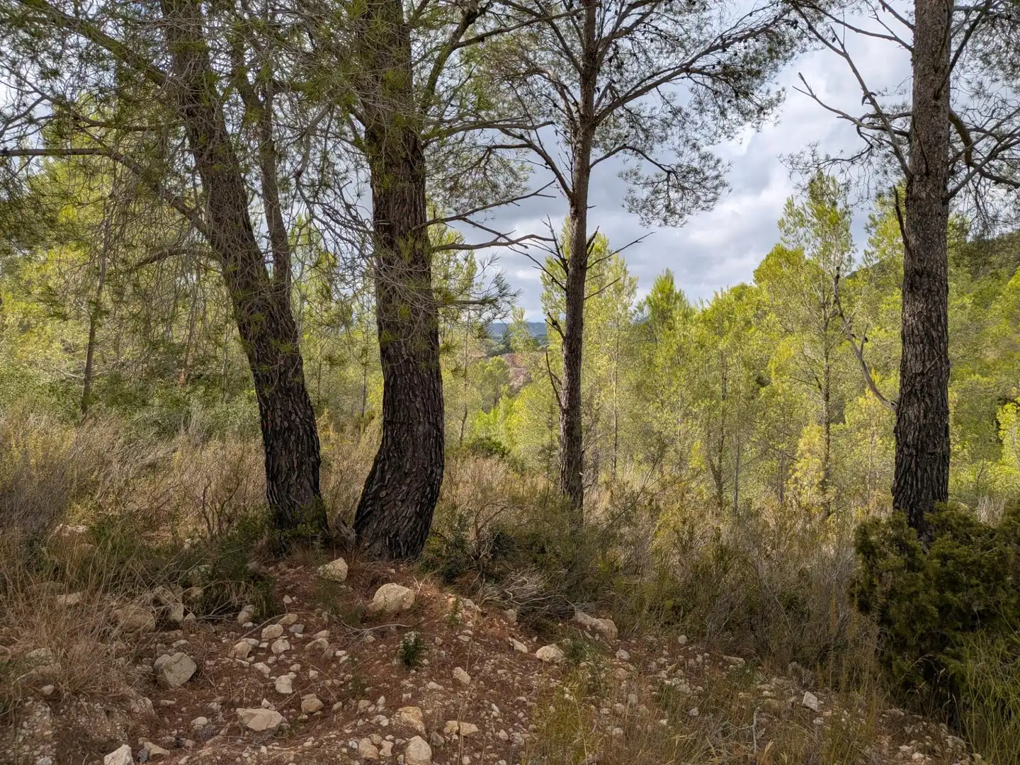 Maison rustique à vendre à Camino  Tivissa 51, imagen 44