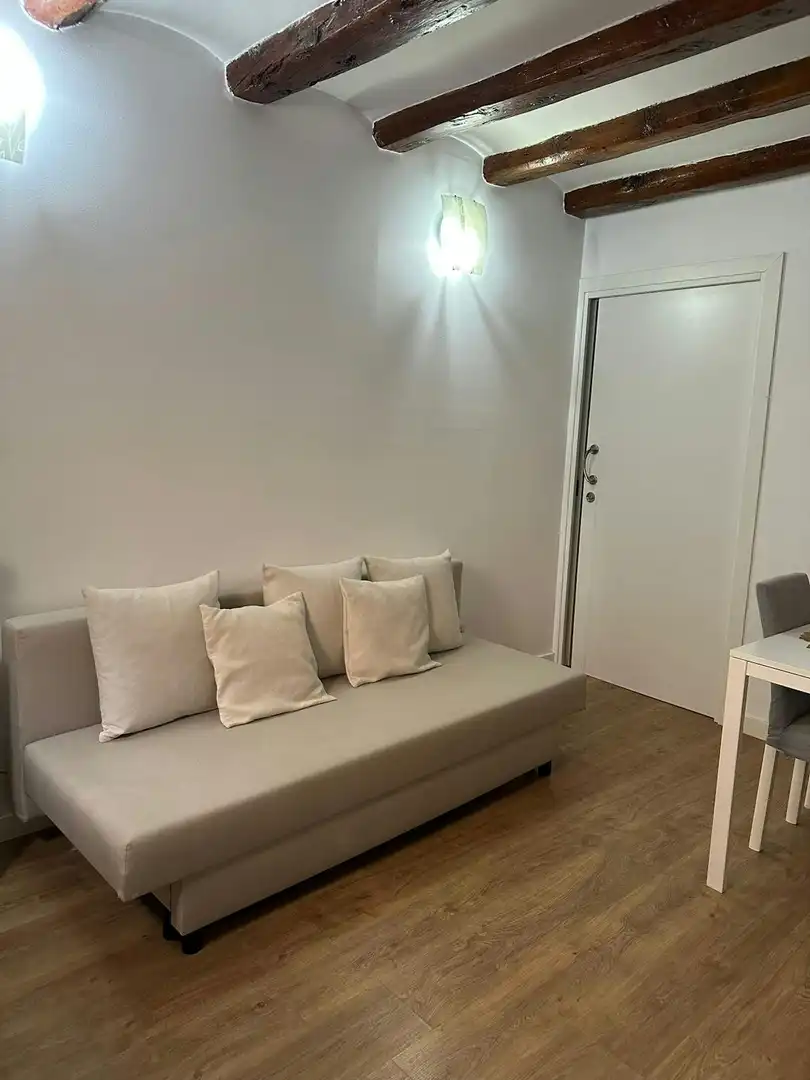 Sala de estar de Piso de alquiler en Barcelona con Jardín privado, Amueblado y Lavadora