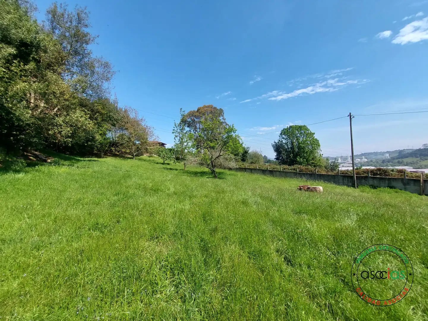 Terreno rustico in vendita a Gijón - Camin de la Cantera, imagen 2