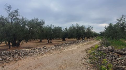 Finca en venta en Xerta
