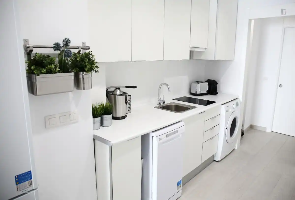 Apartments for rent in El Carme