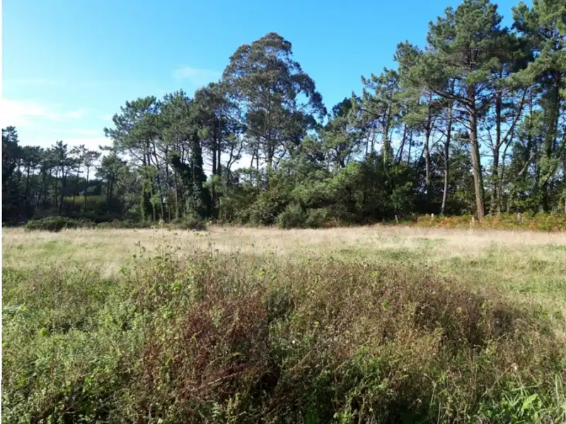 Residencial en venta en OVIÑANA Polígono 13 Parcela , Cudillero