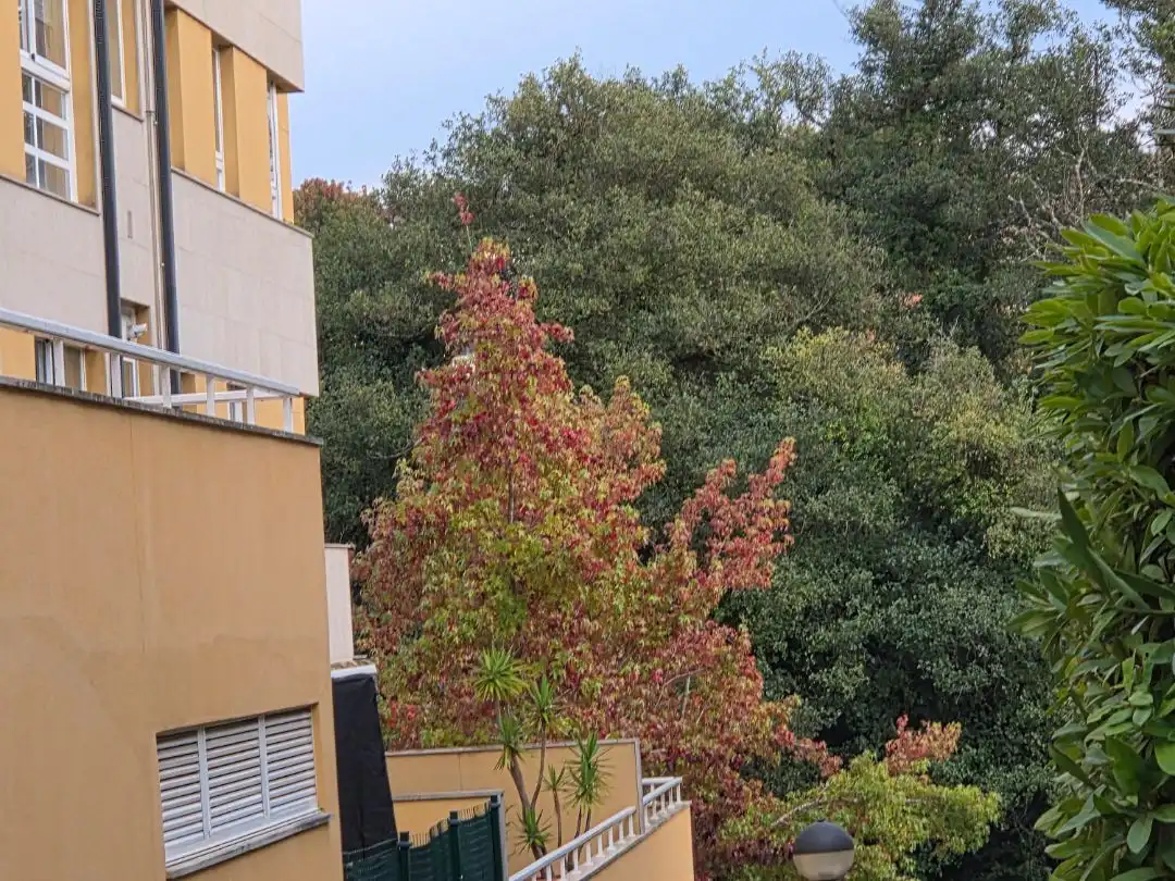 Terrassa de Pis de lloguer en Liáns