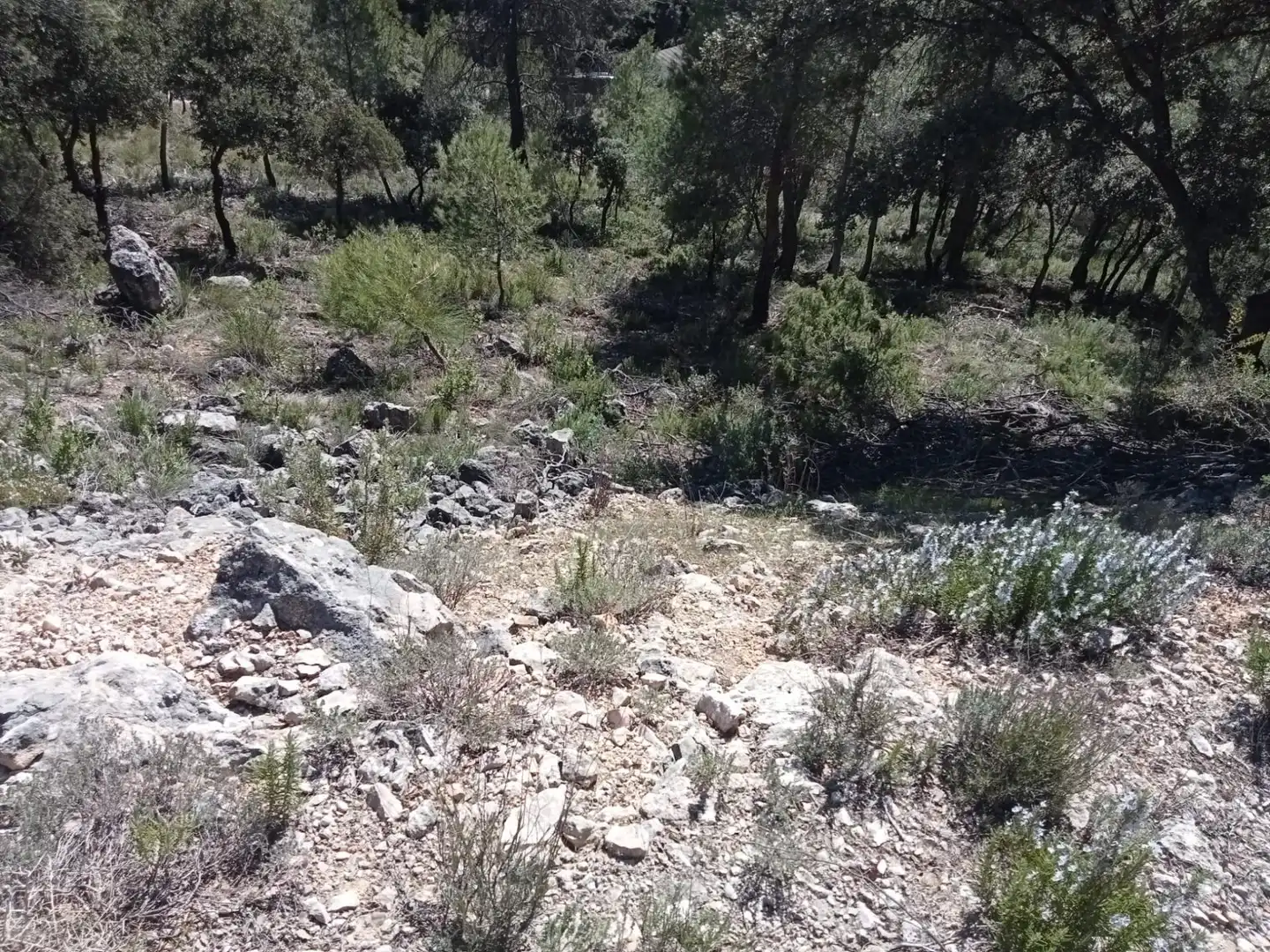 Residencial en venda en Escopete