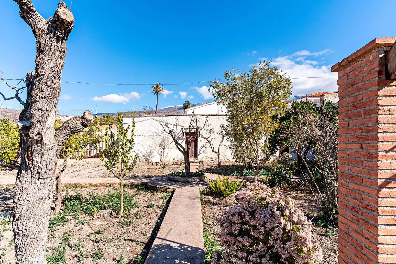 Jardí de Casa o xalet en venda en Berja amb Terrassa i Balcó