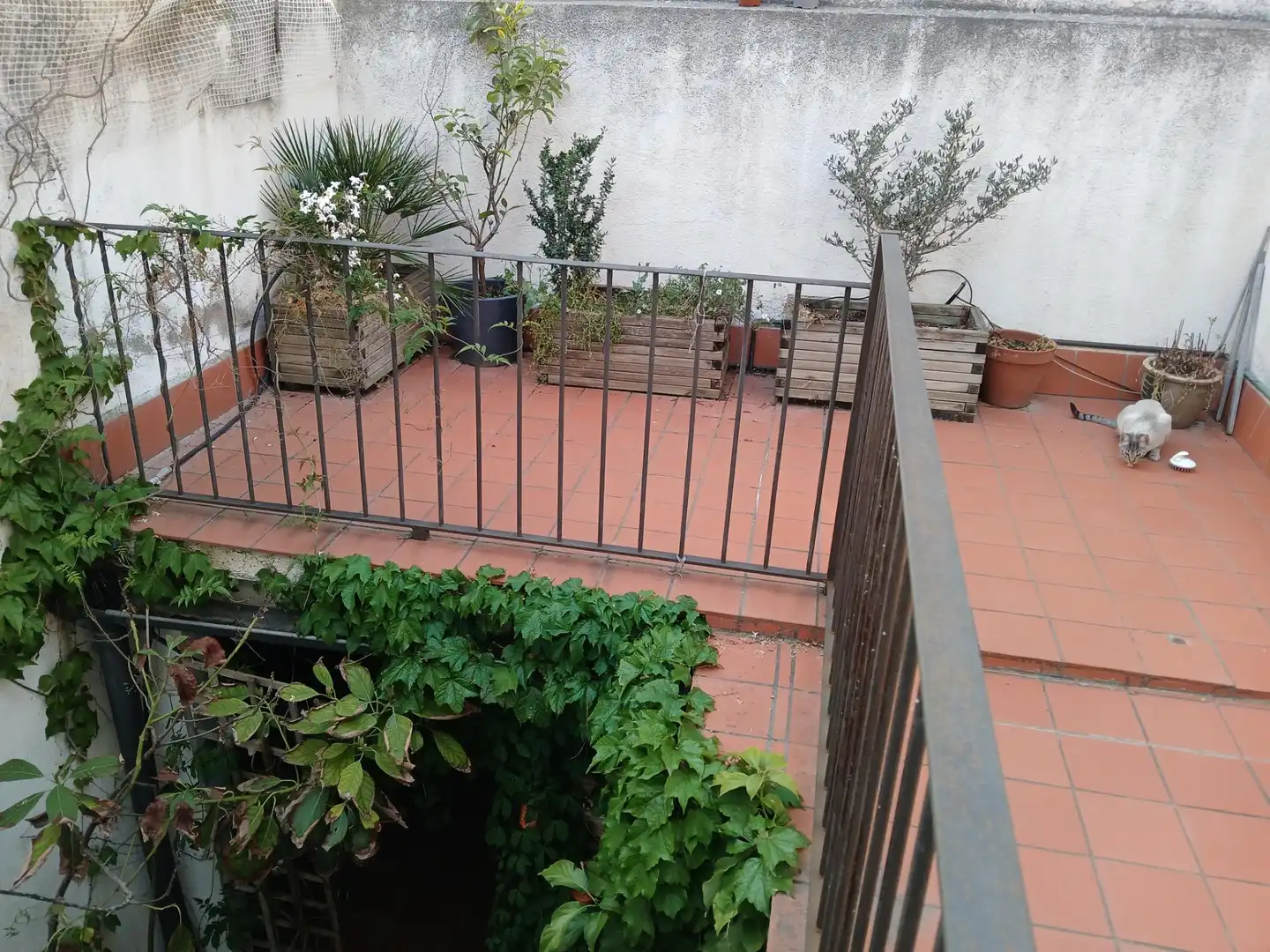 Maison mitoyenne à vendre à Centre - Sant Oleguer, imagen 25
