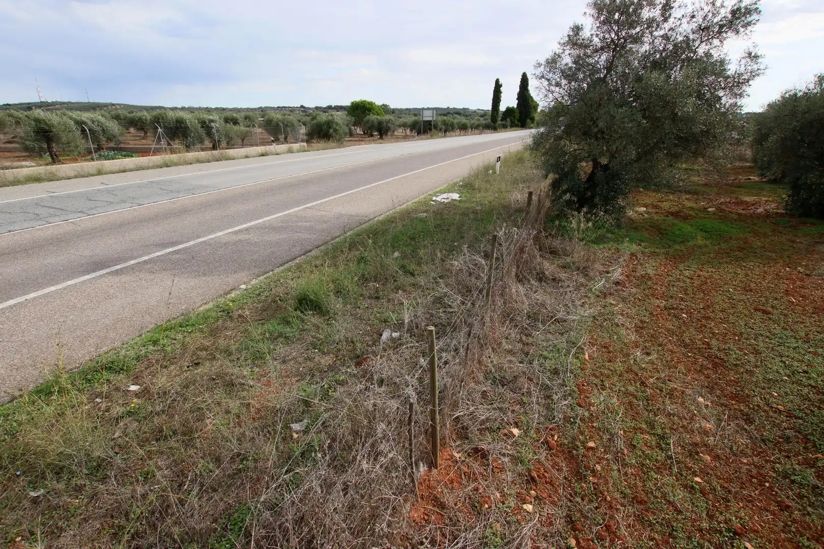 Terreni e lotti in vendita a Montijo, imagen 2