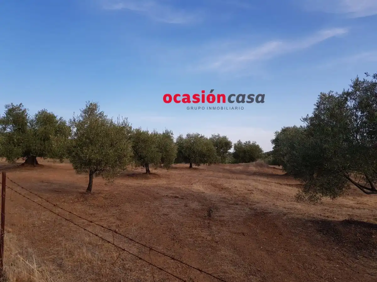Finca rústica en venta en Espiel con Piscina y Amueblado