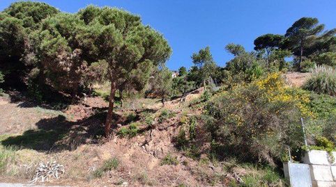 Foto 5 von Residential zum Verkauf in Sicilia, Canyelles, Lloret de Mar