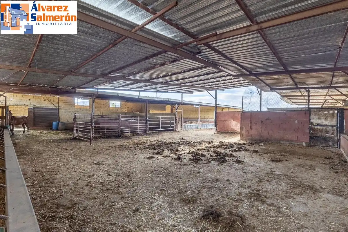 Vista exterior de Casa o xalet en venda en La Zubia amb Jardí privat