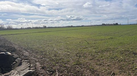 Foto 4 de Terreno en venta en Almacelles, Lleida