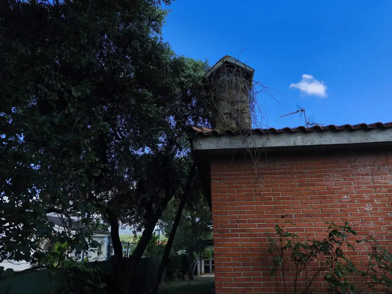 Chalet con piscina en venta en Escalona, imagen 22