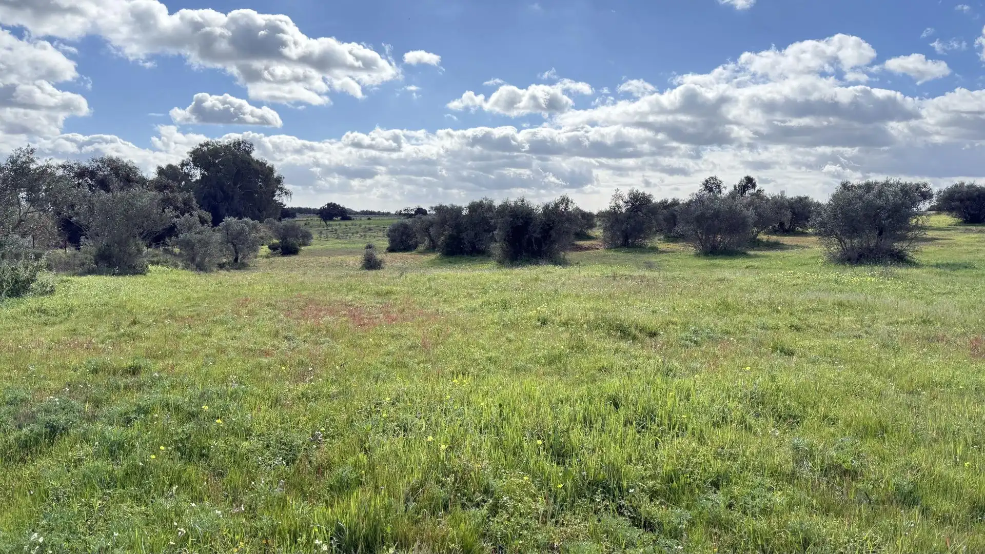 Country homes for sale in Gibraleón