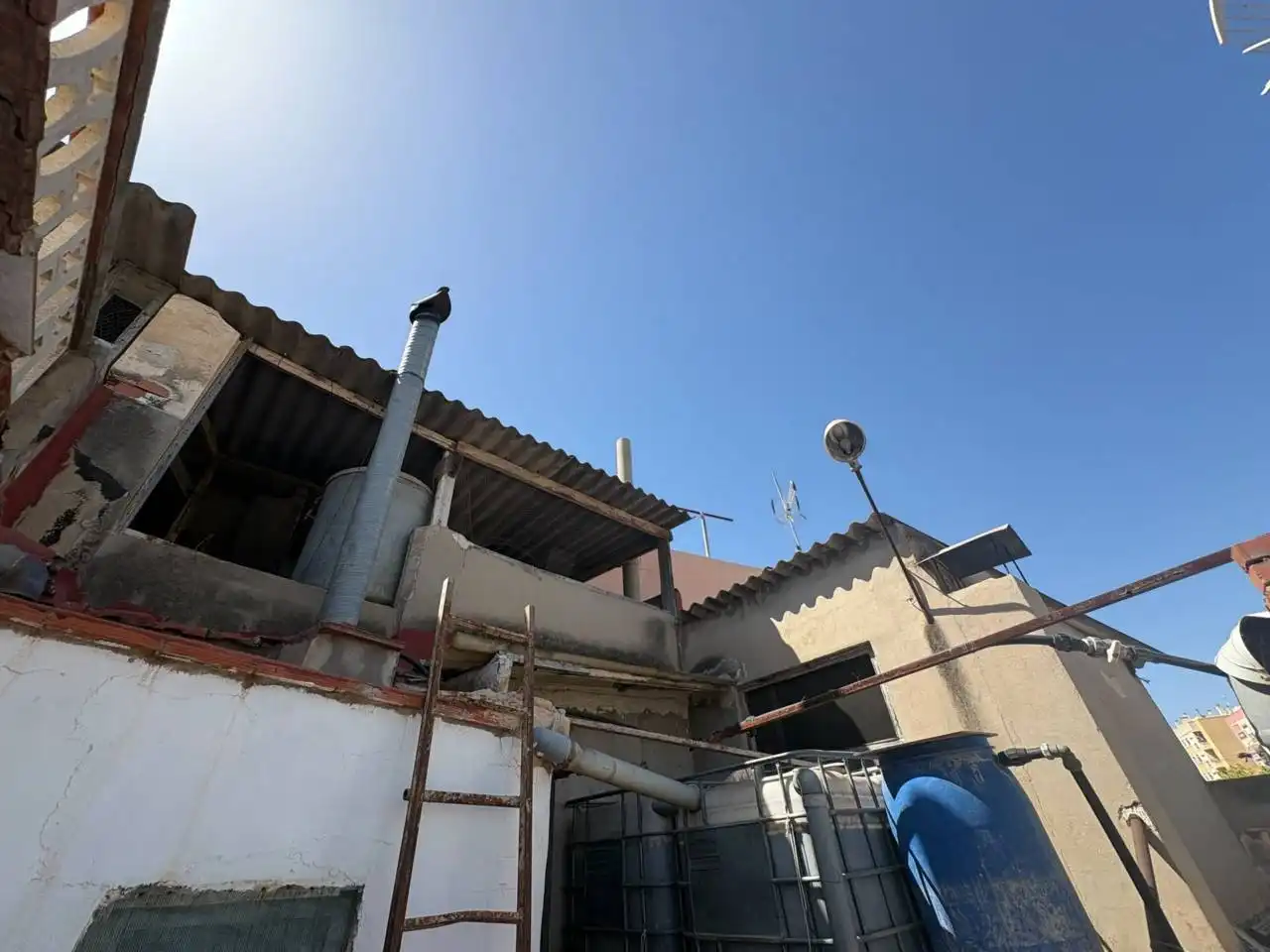 Vista exterior de Casa o chalet en venta en Aspe con Terraza
