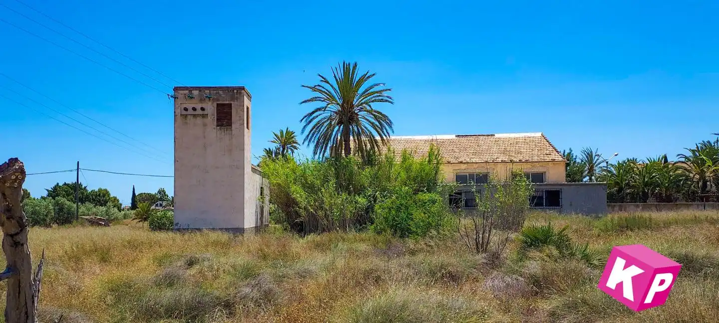 Vista exterior de Finca rústica en venda en Elche / Elx amb Jardí privat