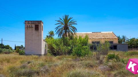 Photo 4 of Country homes for sale in Parcela, Perleta - Maitino, Elche / Elx