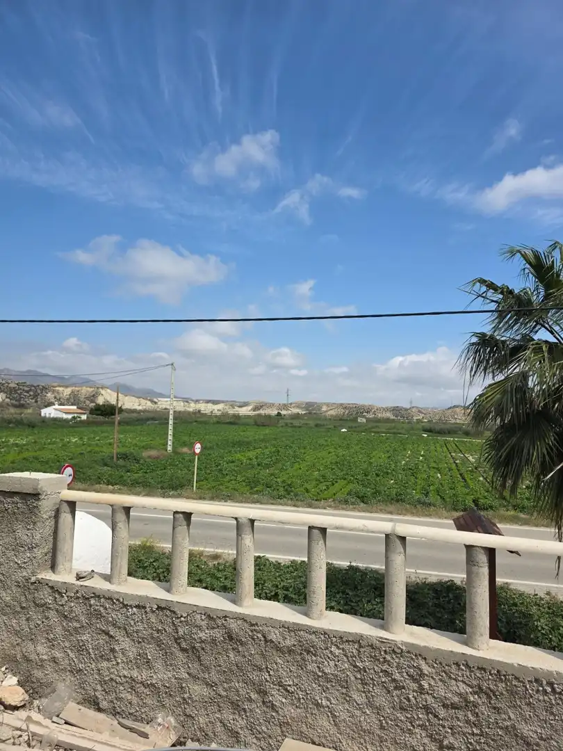 Vista exterior de Finca rústica en venda en Cuevas del Almanzora amb Jardí privat i Terrassa