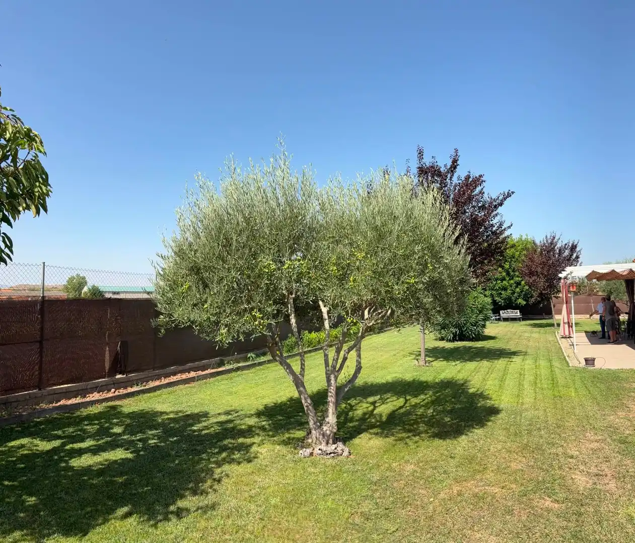 Jardí de Casa o xalet en venda en Agoncillo amb Aire condicionat i Moblat